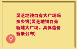灵芝地铁口有大广场吗多少钱(灵芝地铁口旁新建大广场，具体造价暂未公布)