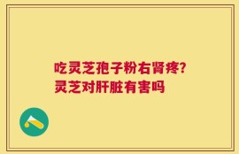 吃灵芝孢子粉右肾疼？灵芝对肝脏有害吗