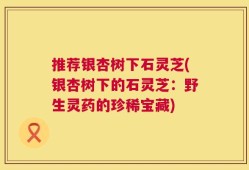 推荐银杏树下石灵芝(银杏树下的石灵芝：野生灵药的珍稀宝藏)