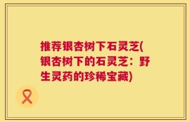 推荐银杏树下石灵芝(银杏树下的石灵芝：野生灵药的珍稀宝藏)
