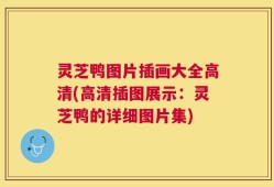 灵芝鸭图片插画大全高清(高清插图展示：灵芝鸭的详细图片集)