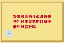 野生灵芝为什么没有孢子？野生灵芝挖回家还能生长栽种吗