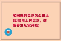 买回来的灵芝怎么用土栽培(用土种灵芝，健康养生从家开始)