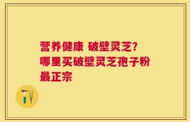 营养健康 破壁灵芝？哪里买破壁灵芝孢子粉最正宗