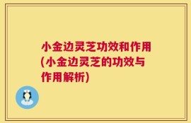 小金边灵芝功效和作用(小金边灵芝的功效与作用解析)