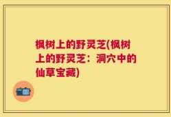 枫树上的野灵芝(枫树上的野灵芝：洞穴中的仙草宝藏)
