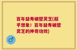 百年益寿破壁灵芝(超乎想象！百年益寿破壁灵芝的神奇功效)