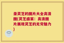 录灵芝的图片大全高清图(灵芝盛宴：高清图片展现灵芝的无穷魅力)