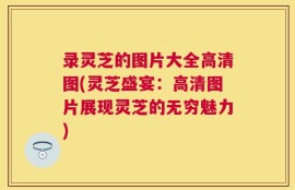 录灵芝的图片大全高清图(灵芝盛宴：高清图片展现灵芝的无穷魅力)