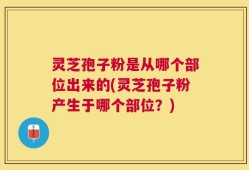 灵芝孢子粉是从哪个部位出来的(灵芝孢子粉产生于哪个部位？)