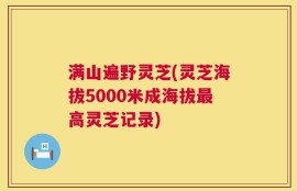 满山遍野灵芝(灵芝海拔5000米成海拔最高灵芝记录)