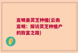 嵩明县灵芝种植(云南嵩明：探访灵芝种植户的致富之路)