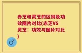 赤芝和灵芝的区别及功效图片对比(赤芝VS灵芝：功效与图片对比)