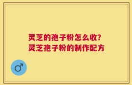灵芝的孢子粉怎么收？灵芝孢子粉的制作配方