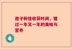 孢子粉佳收获时间，错过一年又一年的美味与营养