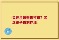 灵芝用破壁机打粉？灵芝孢子粉制作法