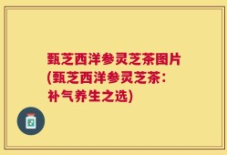 甄芝西洋参灵芝茶图片(甄芝西洋参灵芝茶：补气养生之选)