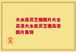 大水泉灵芝棚图片大全高清大水泉灵芝棚高清图片集锦