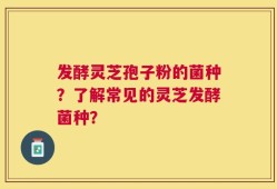 发酵灵芝孢子粉的菌种？了解常见的灵芝发酵菌种？
