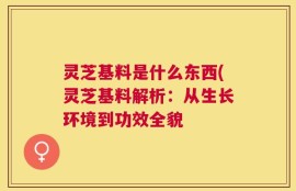 灵芝基料是什么东西(灵芝基料解析：从生长环境到功效全貌