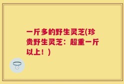 一斤多的野生灵芝(珍贵野生灵芝：超重一斤以上！)