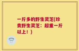 一斤多的野生灵芝(珍贵野生灵芝：超重一斤以上！)
