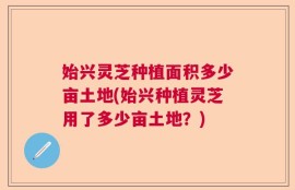 始兴灵芝种植面积多少亩土地(始兴种植灵芝用了多少亩土地？)