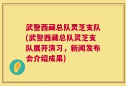 武警西藏总队灵芝支队(武警西藏总队灵芝支队展开演习，新闻发布会介绍成果)