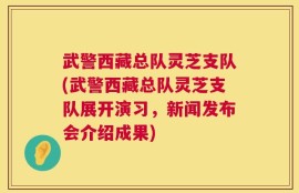 武警西藏总队灵芝支队(武警西藏总队灵芝支队展开演习，新闻发布会介绍成果)