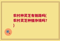 农村种灵芝有销路吗(农村灵芝种植挣钱吗？)