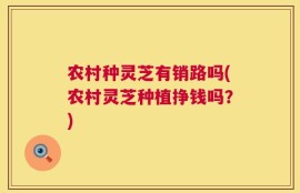 农村种灵芝有销路吗(农村灵芝种植挣钱吗？)