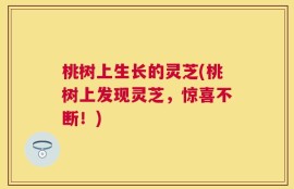 桃树上生长的灵芝(桃树上发现灵芝，惊喜不断！)