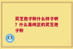 灵芝孢子粉什么样子啊？什么是纯正的灵芝孢子粉