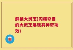 鲜艳大灵芝(闪耀夺目的大灵芝展现其神奇功效)