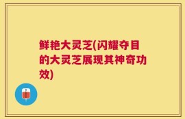 鲜艳大灵芝(闪耀夺目的大灵芝展现其神奇功效)