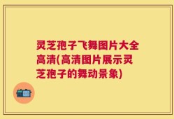 灵芝孢子飞舞图片大全高清(高清图片展示灵芝孢子的舞动景象)