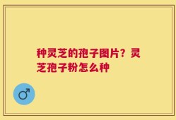种灵芝的孢子图片？灵芝孢子粉怎么种