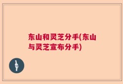 东山和灵芝分手(东山与灵芝宣布分手)