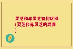 灵芝和赤灵芝有何区别(灵芝和赤灵芝的异同)