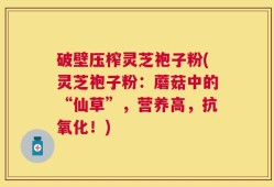 破壁压榨灵芝袍子粉(灵芝袍子粉：蘑菇中的“仙草”，营养高，抗氧化！)
