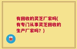 有回收的灵芝厂家吗(有专门从事灵芝回收的生产厂家吗？)