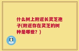 什么树上附近长灵芝孢子(附近存在灵芝的树种是哪些？)