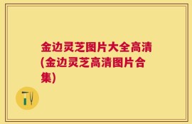 金边灵芝图片大全高清(金边灵芝高清图片合集)