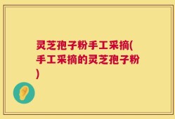 灵芝孢子粉手工采摘(手工采摘的灵芝孢子粉)