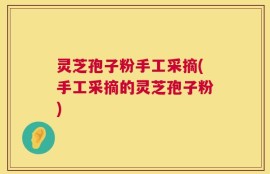 灵芝孢子粉手工采摘(手工采摘的灵芝孢子粉)