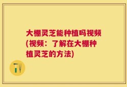 大棚灵芝能种植吗视频(视频：了解在大棚种植灵芝的方法)