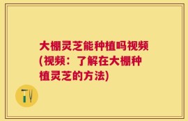 大棚灵芝能种植吗视频(视频：了解在大棚种植灵芝的方法)