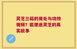 灵芝三萜的用处与功效视频？狐狸送灵芝的真实故事