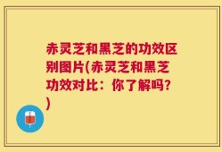 赤灵芝和黑芝的功效区别图片(赤灵芝和黑芝功效对比：你了解吗？)