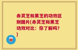 赤灵芝和黑芝的功效区别图片(赤灵芝和黑芝功效对比：你了解吗？)